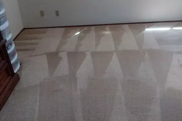 Carpet Cleaning Roseville CA – Keep It Clean America: Roseville's Best  Carpet, Tile & Rug Cleaners